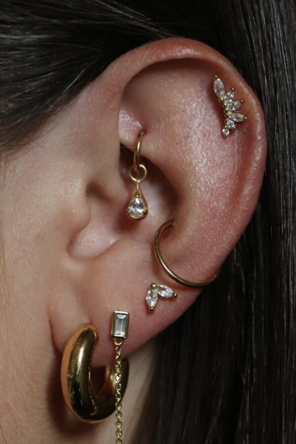 charms goutte