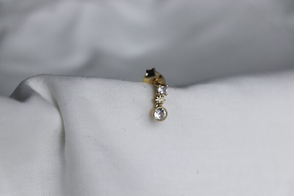 Puce Birilla