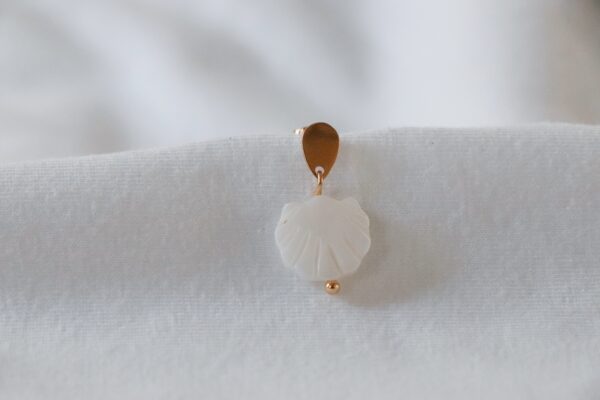 Puce Coquillage
