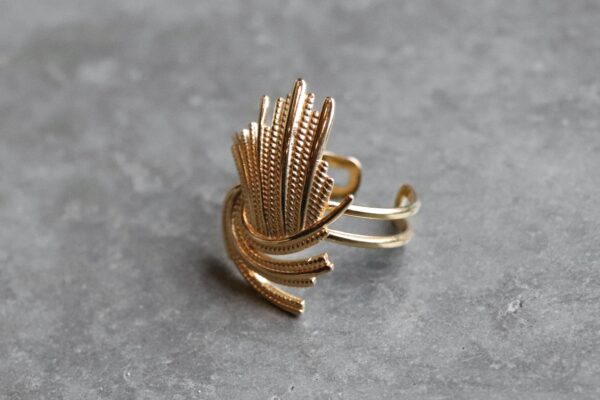 Bague poual